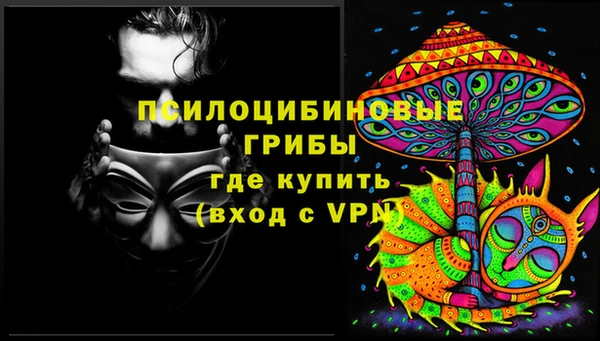 спиды Алзамай