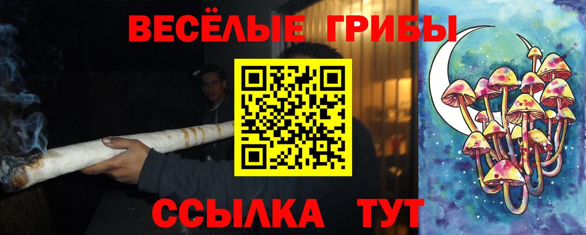 Галлюциногенные грибы MAGIC MUSHROOMS  Вход с VPN  Кинель 